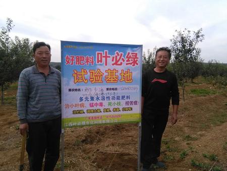 棲霞蘋果示范基地