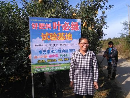 .棲霞蘋果示范基地