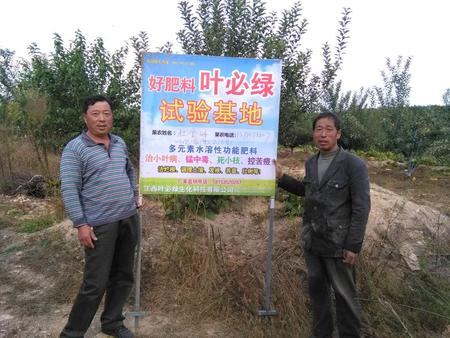 棲霞蘋果示范基地