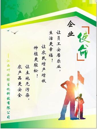 公司使命