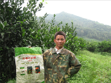 用戶見(jiàn)證