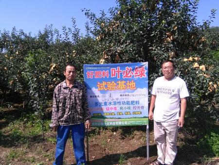 棲霞蘋果示范基地