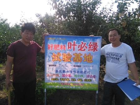 棲霞蘋果示范基地