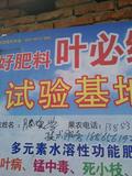 棲霞蘋果示范基地