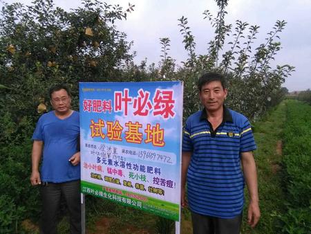 棲霞蘋果示范基地