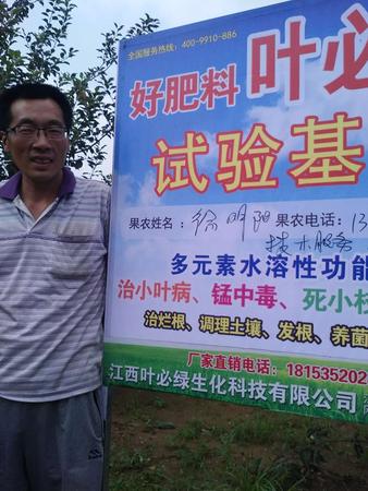 棲霞蘋果示范基地