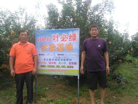 棲霞蘋果示范基地