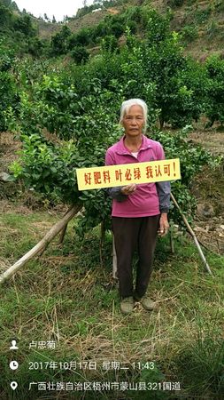 好肥料葉必綠 ，我認(rèn)可！