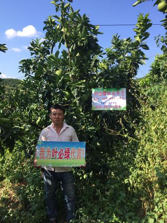 墩仔湖   李福山 15060512788.jpg