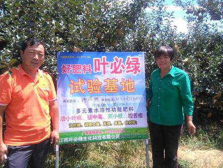 棲霞蘋果示范基地