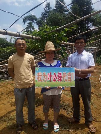 官田鄉(xiāng) 陳玉梅  13395972306.jpg