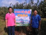 棲霞蘋果示范基地