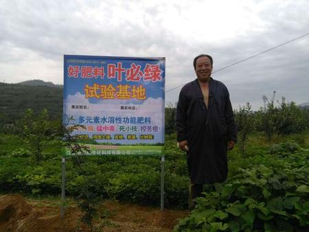 棲霞蘋果示范基地
