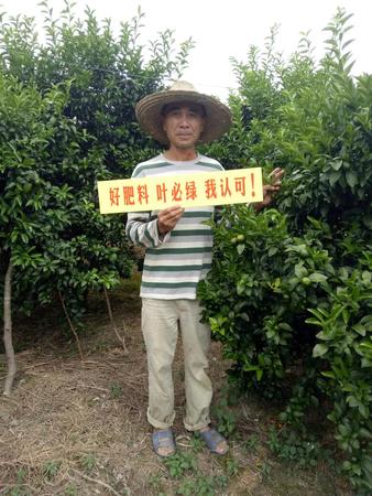 好肥料葉必綠 ，我認(rèn)可！
