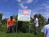 棲霞蘋果示范基地