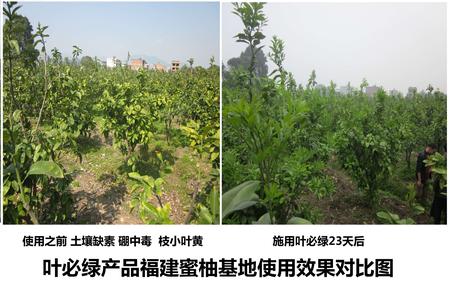 蜜柚使用效果對比1.JPG