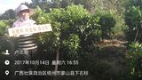 莫十二叔  13877341382.jpg