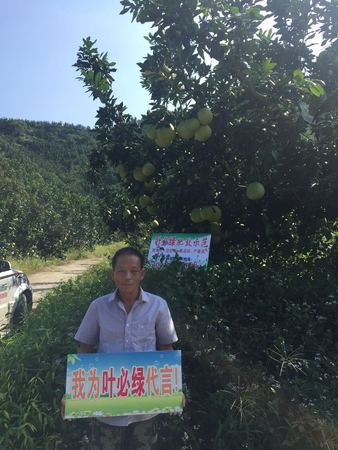 平和縣 霞寨鎮(zhèn)  黃金財(cái) 13806938039.jpg