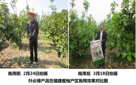 蜜柚使用效果對比.JPG