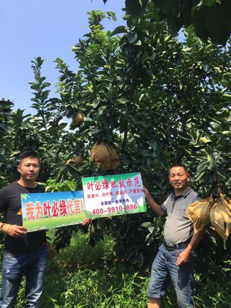 平和縣 小溪鎮(zhèn)  盧振民 13860833062.jpg