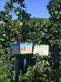 小溪鎮(zhèn)  李清發(fā) 13656072355.jpg