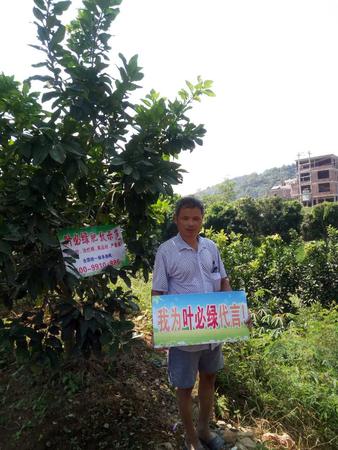 云霄縣 馬鋪鄉(xiāng)   何福金 13259657413.jpg