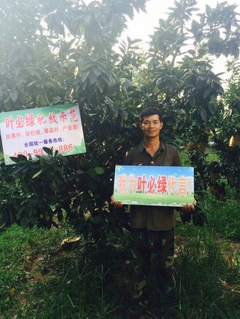 云霄縣 馬鋪鄉(xiāng) 何金城  18059604894.jpg
