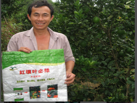 南豐蜜桔用葉必綠 (2).png