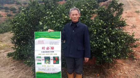 南豐蜜桔用葉必綠 (2).jpg