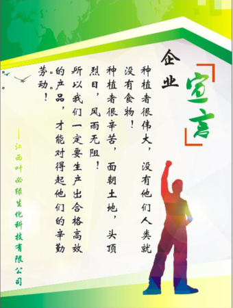 公司宣言
